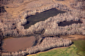 Siberia seen by Matevž