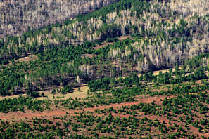 Siberia seen by Matevž